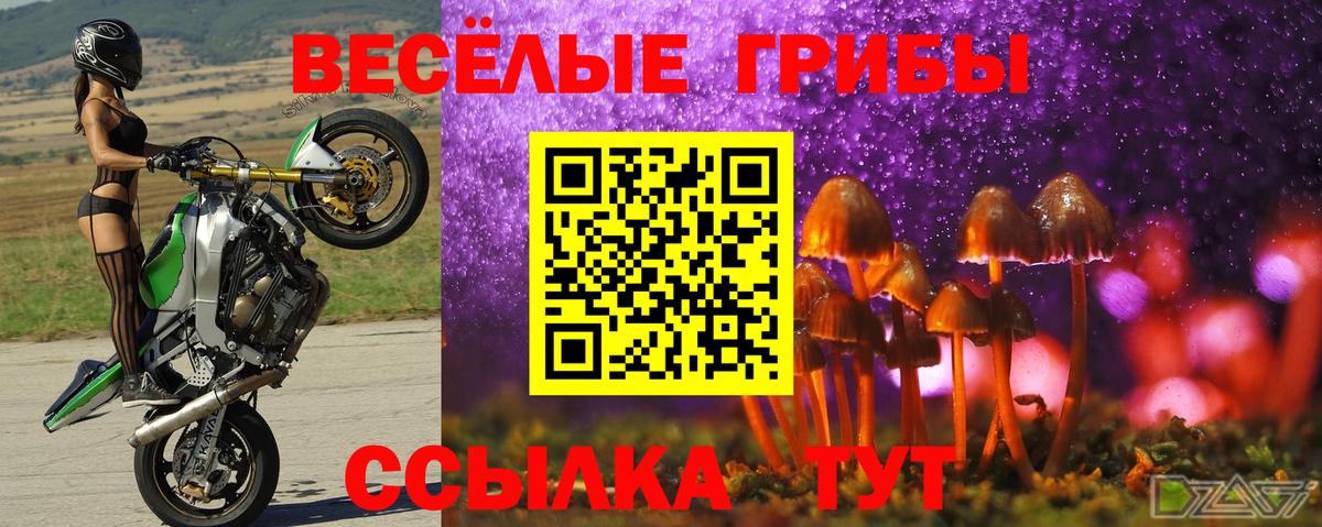 Псилоцибиновые грибы мицелий Озёрск